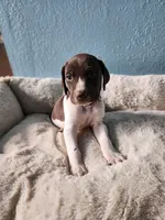 processed/5593da28-f53f-4e87-bd67-a2f2badebcbf/facility/3bd99fda-257a-4706-b38c-3f09caba10ac