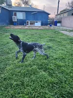 processed/5593da28-f53f-4e87-bd67-a2f2badebcbf/facility/d7dce83f-d297-46e4-a8fd-ec8944d49d1b