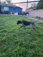 processed/5593da28-f53f-4e87-bd67-a2f2badebcbf/facility/ebfbaa5c-4624-44bb-ab47-cc3a9895657b