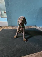 processed/5593da28-f53f-4e87-bd67-a2f2badebcbf/listing/113d1ad8-c5de-451e-9a61-87b2c53b229c/288a57de-02fb-48d3-845b-2d9ebfd179fa