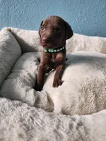 processed/5593da28-f53f-4e87-bd67-a2f2badebcbf/listing/113d1ad8-c5de-451e-9a61-87b2c53b229c/9327ecd4-a427-455e-9f07-01bf52974151