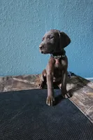 processed/5593da28-f53f-4e87-bd67-a2f2badebcbf/listing/113d1ad8-c5de-451e-9a61-87b2c53b229c/d1124e79-abd2-426c-b3d7-58026196a1c7