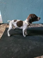 processed/5593da28-f53f-4e87-bd67-a2f2badebcbf/listing/63f3a065-71a1-4a86-9922-697f3d5cd4f1/4698c154-7da8-408a-b83a-4ba2a5a20195