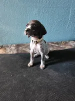 processed/5593da28-f53f-4e87-bd67-a2f2badebcbf/listing/63f3a065-71a1-4a86-9922-697f3d5cd4f1/f95add4c-59cd-422c-b8d5-bc0a9f62b8f5