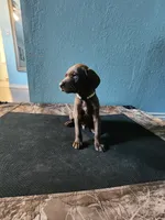 processed/5593da28-f53f-4e87-bd67-a2f2badebcbf/listing/70da3700-73aa-426a-b7a6-022d42214815/b6bb6dab-8638-4fcb-8194-b087a62bac95