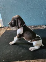 processed/5593da28-f53f-4e87-bd67-a2f2badebcbf/listing/767f90cd-5134-41ae-8261-9d30622e9406/31074b6f-45c8-4f43-9bc2-939047404cc3