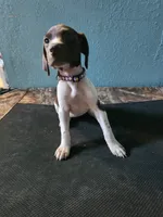 processed/5593da28-f53f-4e87-bd67-a2f2badebcbf/listing/767f90cd-5134-41ae-8261-9d30622e9406/33e64c85-00ac-4ab2-941f-4f709340d4b1