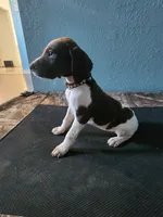 processed/5593da28-f53f-4e87-bd67-a2f2badebcbf/listing/767f90cd-5134-41ae-8261-9d30622e9406/6abec873-5e7b-4751-8bef-5d602c1390b5