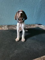 processed/5593da28-f53f-4e87-bd67-a2f2badebcbf/listing/767f90cd-5134-41ae-8261-9d30622e9406/f2602572-f8d7-4ee4-9bba-b21c8e56dc0d