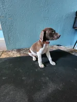 processed/5593da28-f53f-4e87-bd67-a2f2badebcbf/listing/90ea66a9-e9b7-414c-9476-8f03170bb154/08b2dc7b-d1a4-4b28-aefb-da05567d3374