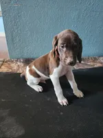 processed/5593da28-f53f-4e87-bd67-a2f2badebcbf/listing/90ea66a9-e9b7-414c-9476-8f03170bb154/34f3a83e-5e11-4266-800f-607d4a4a37ad