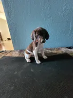 processed/5593da28-f53f-4e87-bd67-a2f2badebcbf/listing/90ea66a9-e9b7-414c-9476-8f03170bb154/a33affe4-6dd0-4580-a902-1c7e28815c45