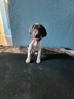 processed/5593da28-f53f-4e87-bd67-a2f2badebcbf/listing/90ea66a9-e9b7-414c-9476-8f03170bb154/eaae6102-1dee-43b0-8b8a-430df6b20e36