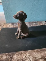 processed/5593da28-f53f-4e87-bd67-a2f2badebcbf/listing/e53cd2cb-db65-4cd1-8d6c-7f28fa7e9d9e/9f9b05f9-2642-4279-ae53-dbce7d13ce09