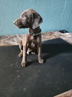 processed/5593da28-f53f-4e87-bd67-a2f2badebcbf/listing/e53cd2cb-db65-4cd1-8d6c-7f28fa7e9d9e/dfe45383-1052-48ac-9e00-046aab306e6d