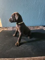 processed/5593da28-f53f-4e87-bd67-a2f2badebcbf/listing/ee334e53-65fb-4522-93aa-05315495f3f4/0bd80d2e-699f-4d56-b8bf-ad5275637891