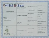 processed/5593da28-f53f-4e87-bd67-a2f2badebcbf/listing/ee334e53-65fb-4522-93aa-05315495f3f4/14f1fb45-ef47-4993-bbc5-0035be773b5c