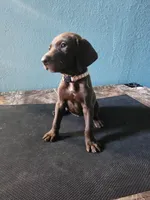 processed/5593da28-f53f-4e87-bd67-a2f2badebcbf/listing/ee334e53-65fb-4522-93aa-05315495f3f4/401b62a6-1dd5-43b6-8900-f886e0de2d0f