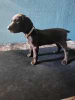 processed/5593da28-f53f-4e87-bd67-a2f2badebcbf/listing/ee334e53-65fb-4522-93aa-05315495f3f4/406668df-cb0a-4c0c-a18a-89ec26491ab4