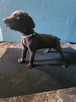 processed/5593da28-f53f-4e87-bd67-a2f2badebcbf/listing/ee334e53-65fb-4522-93aa-05315495f3f4/b82facb0-7cb9-4b66-9c1b-b9bfb6905a2e