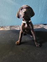 processed/5593da28-f53f-4e87-bd67-a2f2badebcbf/listing/ee334e53-65fb-4522-93aa-05315495f3f4/e268eeb6-433d-4e1f-9c8f-44d5b70258ba