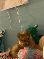 processed/55970107-b752-47b1-a073-39e5c9bc3b3e/facility/177921b0-6a3f-486a-99d3-6b088fd16e94