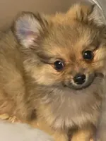 processed/55970107-b752-47b1-a073-39e5c9bc3b3e/facility/3016040b-3ecc-4955-a87c-b46911437aa8