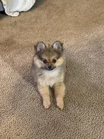 processed/55970107-b752-47b1-a073-39e5c9bc3b3e/facility/787b4170-f931-4dbc-843b-5f3caba913c5