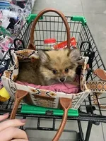 processed/55970107-b752-47b1-a073-39e5c9bc3b3e/facility/f3982815-44ad-4220-b244-a7003d6784ba