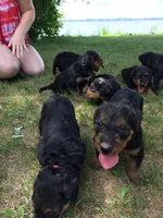 processed/559718e6-7527-4bf8-b49d-62a369e2d901/listing/39f567d1-9cc6-4be3-9e46-7e702682dd1a/ae8062b1-4b12-490e-9e2a-c52d353dcd1c