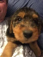 processed/559718e6-7527-4bf8-b49d-62a369e2d901/listing/39f567d1-9cc6-4be3-9e46-7e702682dd1a/fd9a6a58-30b7-4fcd-b7b0-83586580c816