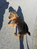 processed/559718e6-7527-4bf8-b49d-62a369e2d901/listing/4a232716-57b5-4327-96f9-87961580faf5/669cfc6c-5c41-42ec-8bf4-41a66e754606