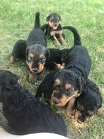 processed/559718e6-7527-4bf8-b49d-62a369e2d901/listing/4a232716-57b5-4327-96f9-87961580faf5/7bb93e66-e2d8-4d58-ab63-f5fc4a3d61ac