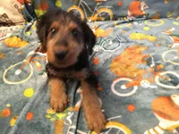 processed/559718e6-7527-4bf8-b49d-62a369e2d901/listing/4a232716-57b5-4327-96f9-87961580faf5/acf56632-7f74-45dc-ab13-424f8336537d