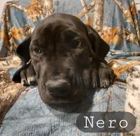 processed/559ade98-1d46-45b7-a45e-8977269b250a/listing/2075456b-c690-4599-8a4e-c3520d7d4b78/91e8c2c6-ebb3-47b2-9cea-d3313095f0f6