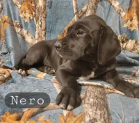 processed/559ade98-1d46-45b7-a45e-8977269b250a/listing/2075456b-c690-4599-8a4e-c3520d7d4b78/b0030d67-3134-440f-935f-a48e355c93cc