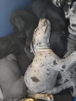 processed/559ade98-1d46-45b7-a45e-8977269b250a/listing/4e211c50-354d-434b-9adc-b084d19f9025/1d298410-c55f-4a7a-b257-e668ae3f596b