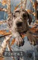 processed/559ade98-1d46-45b7-a45e-8977269b250a/listing/4e211c50-354d-434b-9adc-b084d19f9025/673c604d-b713-4175-be0a-baeea07cf3b8