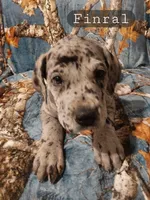 processed/559ade98-1d46-45b7-a45e-8977269b250a/listing/4e211c50-354d-434b-9adc-b084d19f9025/b941d89d-f309-4f5c-9422-e11b756006f6