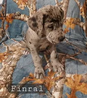 processed/559ade98-1d46-45b7-a45e-8977269b250a/listing/4e211c50-354d-434b-9adc-b084d19f9025/e0725e86-96f0-4756-a21f-bbce76475824