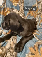 processed/559ade98-1d46-45b7-a45e-8977269b250a/listing/61f79cfd-eff6-41fe-a3ef-3bc34cb98988/3fd8cbea-0dff-4303-98ab-73d47f58a109