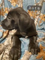 processed/559ade98-1d46-45b7-a45e-8977269b250a/listing/61f79cfd-eff6-41fe-a3ef-3bc34cb98988/824d4e8f-38ab-4d66-b5f8-9c4ab5b8911f