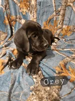 processed/559ade98-1d46-45b7-a45e-8977269b250a/listing/9b6f6fb3-2c2f-4299-8566-235ae75c1c49/ca799224-b6ae-4596-bf0d-b6592885a95e