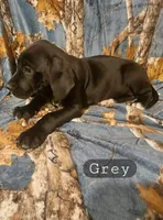 processed/559ade98-1d46-45b7-a45e-8977269b250a/listing/9b6f6fb3-2c2f-4299-8566-235ae75c1c49/f96267dd-bbb1-4145-863a-42cfdf2282b6