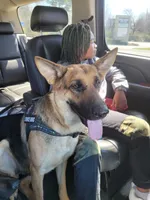 processed/559b7944-40f5-4a83-8783-d5a535de2624/facility/177bc905-dcb0-4cd3-9c3e-6135f77656c7