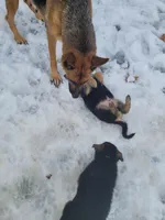 processed/559b7944-40f5-4a83-8783-d5a535de2624/facility/780f2ab3-3ccb-48b3-b34a-1026db64980f