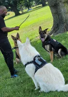 processed/559b7944-40f5-4a83-8783-d5a535de2624/facility/877a8e41-c3a1-4c66-a37d-8fd361ec1775