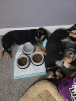 processed/559b7944-40f5-4a83-8783-d5a535de2624/facility/a03272cd-f3f9-4355-a249-ce4b880b7ab1