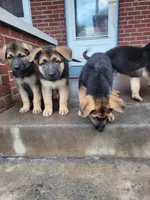 processed/559b7944-40f5-4a83-8783-d5a535de2624/facility/da15525a-0868-4e17-ab9e-6861ddb9b56b