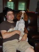 PRESTIGE'S "CASSIE", a female Poodle - Standard  for sale in Winston-Salem, NC – Photo 2 of 8